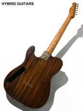 SCHECTER Telecaster Thinline Quilt Top 1993_8