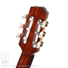 Switch NJ-70C RW -Nylon Jazz-【60回無金利対象品】_8