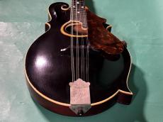 Gibson F-2_11
