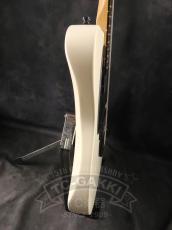 Fender Mexico Jim Root Telecaster_6