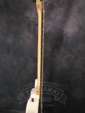 Fender Mexico Jim Root Telecaster_7