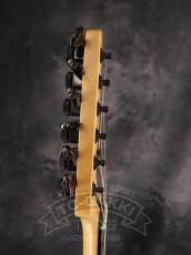 Fender Mexico Jim Root Telecaster_8