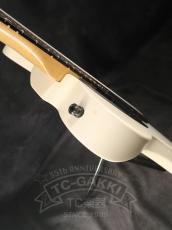 Fender Mexico Jim Root Telecaster_9