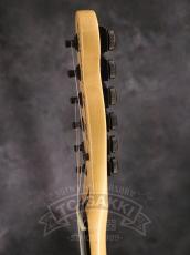Fender Mexico Jim Root Telecaster_12