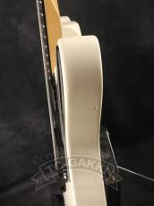 Fender Mexico Jim Root Telecaster_13