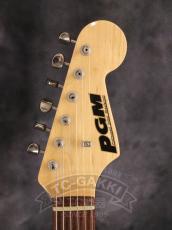 PGM ST Type_4