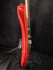 PGM ST Type_6