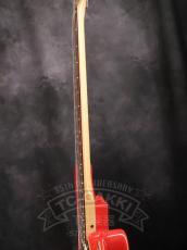 PGM ST Type_10