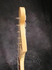 PGM ST Type_11