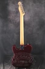 Fender Japan Exclusive Classic 70s Telecaster Ash Mod_13