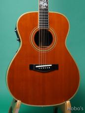 YAMAHA Model Custom "Special Order Made" PU標準装備 -System-30 (Option)