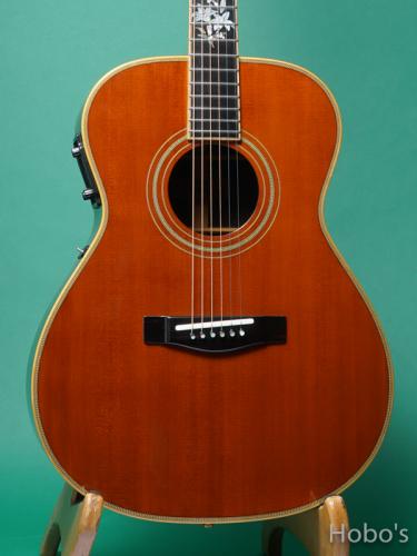YAMAHA Model Custom "Special Order Made" PU標準装備 -System-30 (Option)