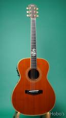 YAMAHA Model Custom "Special Order Made" PU標準装備 -System-30 (Option)_2