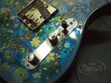 Fender Telecaster Blue Floral _5