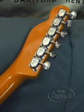 Fender Telecaster Blue Floral _8