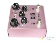strymon DIG [UM005]【神戸店在庫】_3