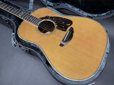 T’sT Premium Terry PTJ-100 2016年製 (Serial NO.2) /　Premium Spruce Top・Premium　Rosewood Side and Back・Abalone Trim and Rosette・”本鼈甲” Pick-guard・Honduras Mahogany and Maple 5P Neck【With Original Hard Case】_2