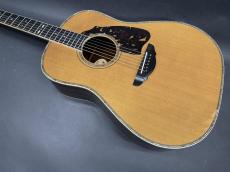 T’sT Premium Terry PTJ-100 2016年製 (Serial NO.2) /　Premium Spruce Top・Premium　Rosewood Side and Back・Abalone Trim and Rosette・”本鼈甲” Pick-guard・Honduras Mahogany and Maple 5P Neck【With Original Hard Case】_3