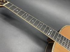 T’sT Premium Terry PTJ-100 2016年製 (Serial NO.2) /　Premium Spruce Top・Premium　Rosewood Side and Back・Abalone Trim and Rosette・”本鼈甲” Pick-guard・Honduras Mahogany and Maple 5P Neck【With Original Hard Case】_9