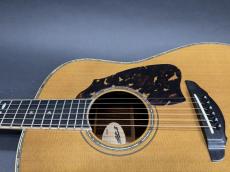 T’sT Premium Terry PTJ-100 2016年製 (Serial NO.2) /　Premium Spruce Top・Premium　Rosewood Side and Back・Abalone Trim and Rosette・”本鼈甲” Pick-guard・Honduras Mahogany and Maple 5P Neck【With Original Hard Case】_12
