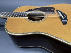 T’sT Premium Terry PTJ-100 2016年製 (Serial NO.2) /　Premium Spruce Top・Premium　Rosewood Side and Back・Abalone Trim and Rosette・”本鼈甲” Pick-guard・Honduras Mahogany and Maple 5P Neck【With Original Hard Case】_13
