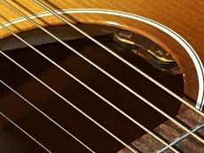 Gibson 【New】J-45 Standard Red Spruce Honey Burst  #20164170 【セカンド品】 【試奏動画あり】_9