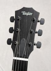 Taylor Catch Custom CT5z Ocean Blue【日本国内1本のみ入荷!】【カスタムモデル】【48回払い無金利】_6