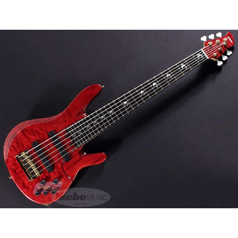 trb jp2