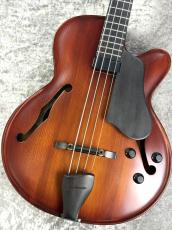 Landscape ARB-204 - Antique Violin Color -