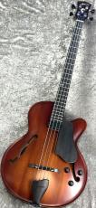 Landscape ARB-204 - Antique Violin Color -_2
