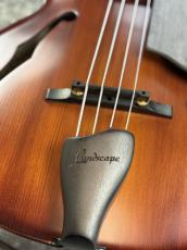 Landscape ARB-204 - Antique Violin Color -_3