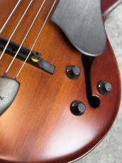 Landscape ARB-204 - Antique Violin Color -_4