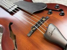 Landscape ARB-204 - Antique Violin Color -_5