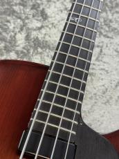 Landscape ARB-204 - Antique Violin Color -_6