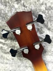 Landscape ARB-204 - Antique Violin Color -_8