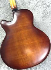 Landscape ARB-204 - Antique Violin Color -_10