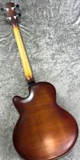 Landscape ARB-204 - Antique Violin Color -_11
