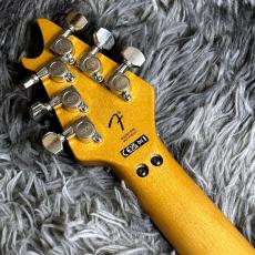 EVH Limited Edition Wolfgang Special Striped Series, Ebony Fingerboard, Distressed Ivory_7