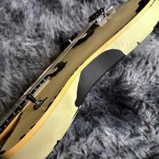 EVH Limited Edition Wolfgang Special Striped Series, Ebony Fingerboard, Distressed Ivory_9