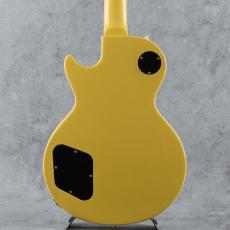 FUJIGEN NLSP100RMH-LYW-ライムイエロー-【S/N K250780】_3