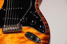 Fender 2017 Limited Edition American Professional Mahogany Stratocaster [3.90kg]_6