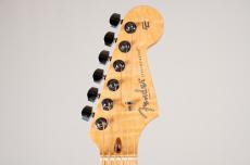 Fender 2017 Limited Edition American Professional Mahogany Stratocaster [3.90kg]_10