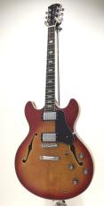 Sire H7 / CS【ラリー・カールトン監修!!】_2