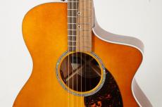 Martin SC-13E Modern  #3041947【2026 Specs Refresh!!】_5