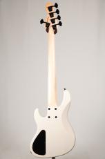 ATELIER Z Beta 5 CUSTOM -TP-WH- [4.00kg]_4