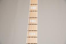 ATELIER Z M#245 CUSTOM -FADE PPL- [4.30kg]_9