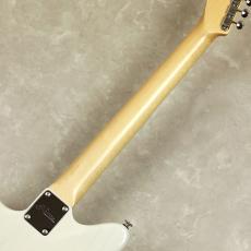 momose MJS2/R 【ミントピックガードモデル】_10