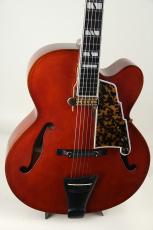 T and Joodee gem-B w/ DeArmond Pickup_3