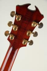 T and Joodee gem-B w/ DeArmond Pickup_6