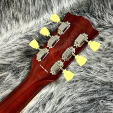 Tokai LS-101F VF_10